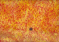Batik Äste yellow 75cm