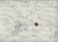 B. Heitland Even More Edgy eggshall 25cm