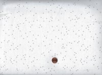 Blossoms weiß-grau 70cm