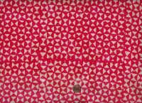 M. Derse Stenographer`s Notebook Ruby