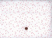 Playroom Teeny Confetti Candy 60cm