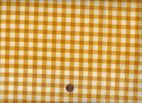 Plaid of my Dreams toasty