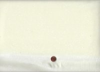 Ruby star society R. Coleman Speckled Sweet cream 90