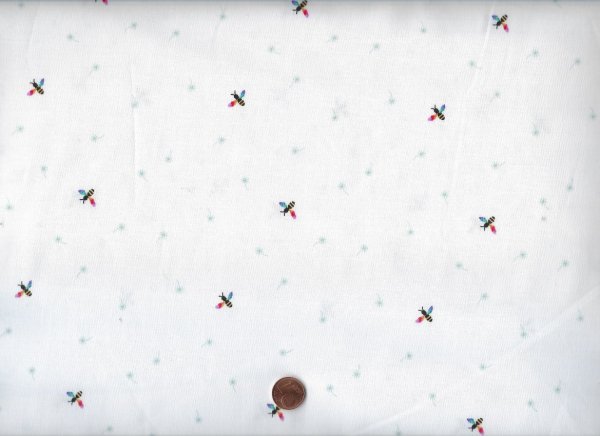 Hush Hush 4 Buzz 70cm