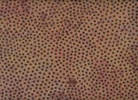 Stonehenge Retro Vibes Dotty rust