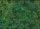Echo Batiks dark green