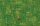 Nitty Gritty green apple