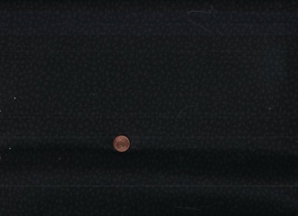 Dusk Basics Spotty