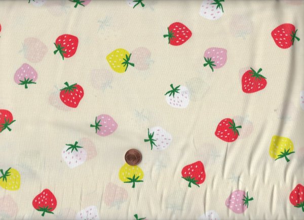 Ruby star society Kimberly Kight Strawberry Strawberry toss shell