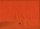 Brighton orange 104