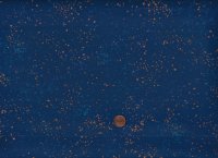 Ruby star society R. Coleman Speckled bluebell 109m