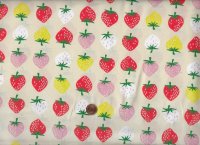 Ruby star society Kimberly Kight Strawberry Strawberry shell