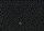 Ruby Star Society A. Abegg Mini Starry black & gold 27M