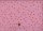 Ruby Star Society A. Abegg Starry rosebud 71