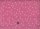 Ruby Star Society A. Abegg Starry watermelon 72
