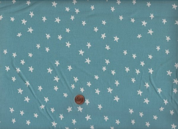 Ruby Star Society A. Abegg Starry soft blue 84