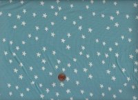 Ruby Star Society A. Abegg Starry soft blue 84