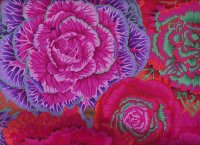 P. Jacobs PJ051 Brassica red