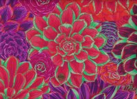 P. Jacobs PJ113 House Leeks Red
