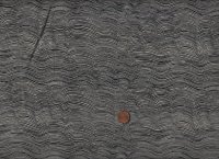 Cecilia Pettersson Rhythm & Leaves  Hills black