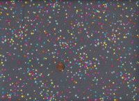 Dewfall Sprinkles
