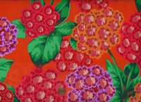 P. Jacobs PJ131 Alpines red