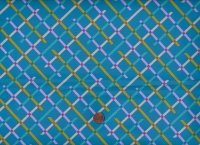 Ruby star society R. Coleman Washi plus Off Grid bright blue