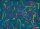 Ruby star society R. Coleman Washi plus Washi teal