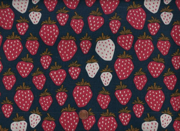 L. v. Oosten Under the Apple Tree Queen of Berries starry Night unbleached Canvas