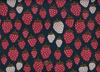 L. v. Oosten Under the Apple Tree Queen of Berries starry...