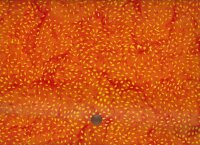 Anthology Batik Sesame orange pop