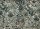 Anthology Batik Strawberry Lane Princelett Etch Etching