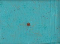 Ruby Star Society R. Coleman Speckled turquoise 72m