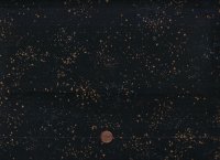 Ruby Star Society R. Coleman Speckled black 61m