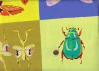 Insectarium Square Dance 0,9m Panel