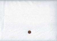 Frosting White on White Sesame