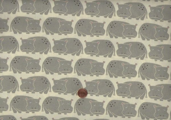 Loes van Oosten Rising sun Weary Hippo shadow