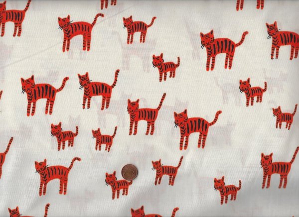 Ruby Star Society A. Abegg Catnap Tiger stripes orange