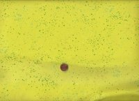 Ruby Star Society R. Coleman Speckled Citron 65m