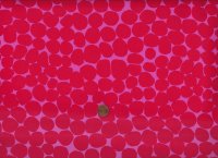 B. Mably BM053 Jumble Ruby