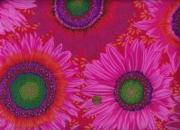 P. Jacobs PJ111 Van Gogh red