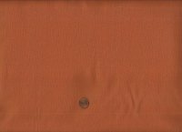 Fableism Watercolor Poppy 390