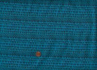 C. Youngs Flying south Geo Azure