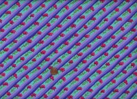 Kaffe: From the Archives GP024 Diagonal Poppy Purple
