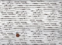 S. Apter Stamped Edit