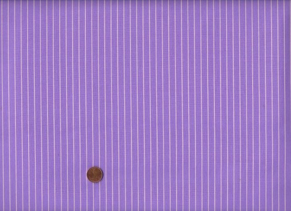 Tula Pink´s True colors Tiny Stripes Honesty