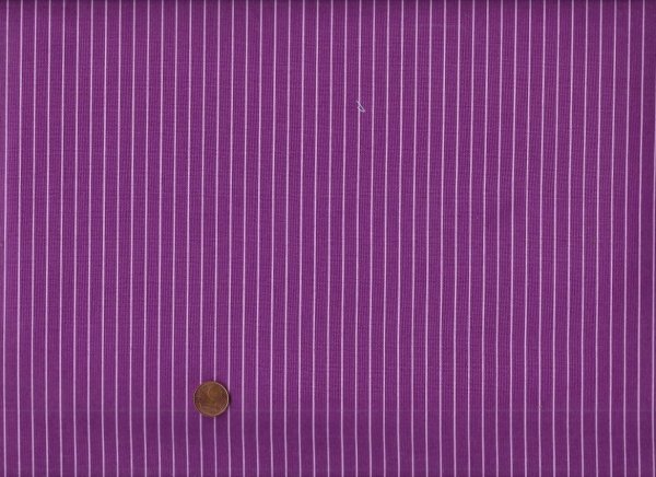 Tula Pink´s True colors Tiny Stripes Aster