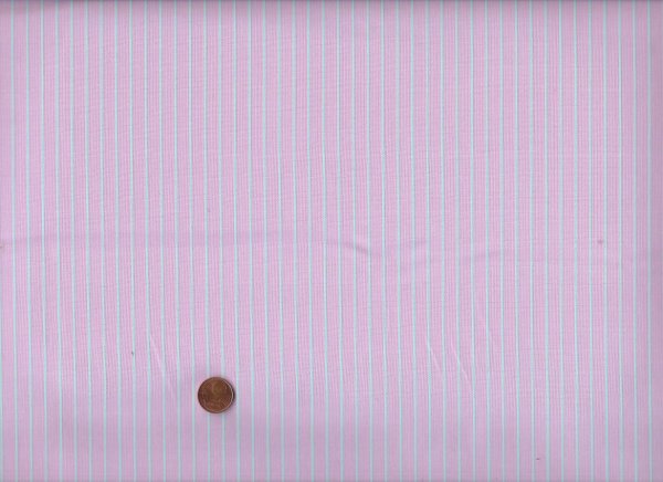 Tula Pink´s True colors Tiny Stripes Petal