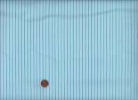 Tula Pink´s True colors Tiny Stripes Misty