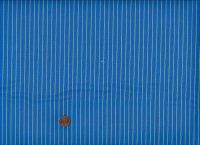 Tula Pink&acute;s True colors Tiny Stripes Clarity